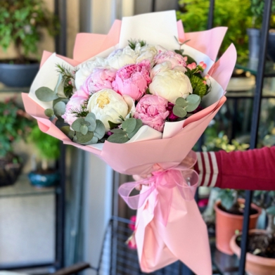 Pink & White Peony 